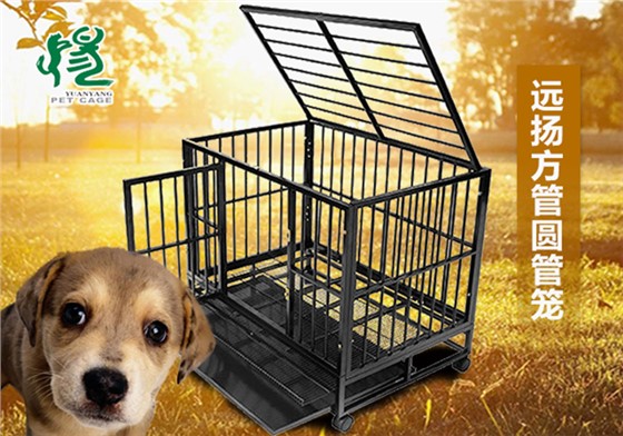 寵物狗籠子批發