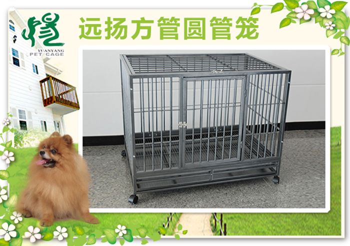 方管狗籠批發(fā)