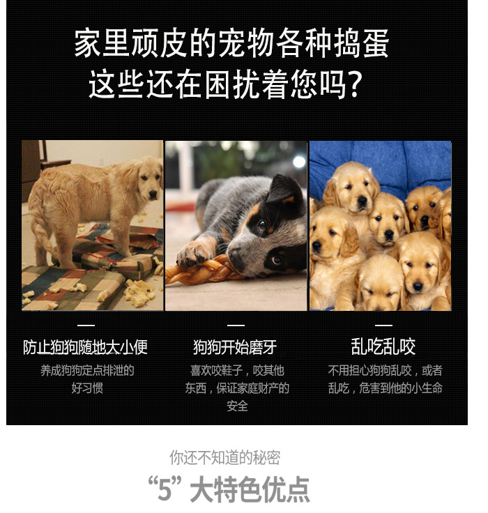 生產寵物籠廠家