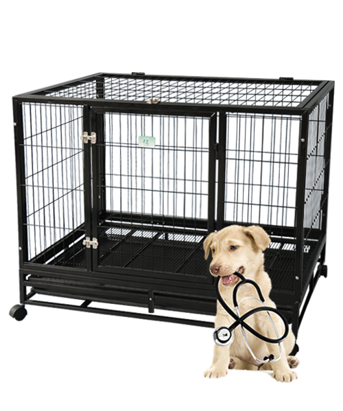 方管鋼絲狗籠子噴黑塑 YD057B PP底盤 方管鋼絲狗籠子噴黑塑 YD057B PP底盤